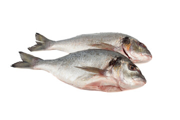 Two ready to cook cleaned dorado fish on white background.
