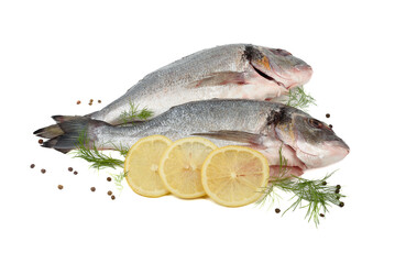 Two raw scrubbed dorado fish, lemon slices and dill and pepper on white background.