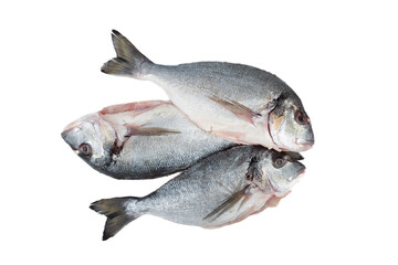 Top view of three raw scrubbed fish ready to cook on white background.