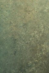 Decorative Plaster Texture for Interior