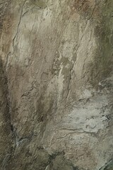 Decorative Plaster Texture for Interior