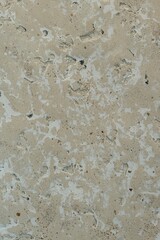 Decorative Plaster Texture for Interior