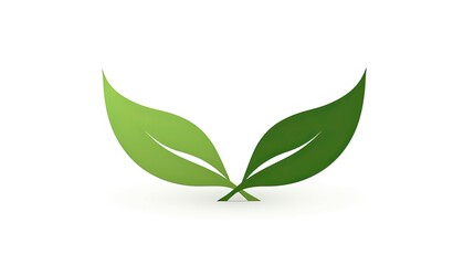 Fototapeta premium Two green leaves 