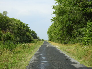 The scenic beauty along the wildlife drive within the Bombay Hook National Wildlife Refuge, during the summer season, Kent County, Delaware.