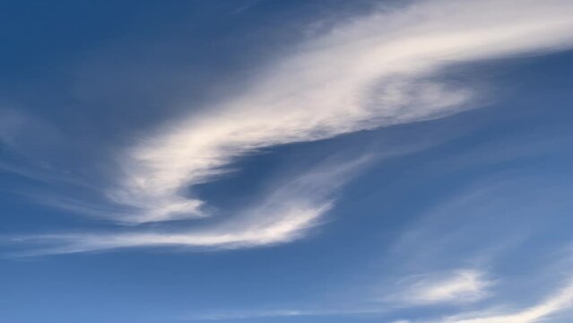 Worm&rsquo;s-eye view of dragon like cloud in the blue sky