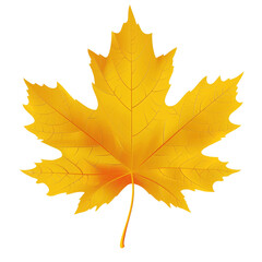 Obraz premium Flat Illustration of a Golden Yellow Maple Leaf on White Background