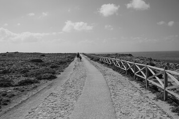 Fototapeta premium A mother and child walk along a path along the ocean. Mom and daughter in jackets walk along the road by the ocean in sunny and windy weather