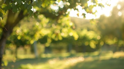 An outoffocus glimpse of a vineyard tour captures the essence of relaxation and indulgence in the beautiful wine country.