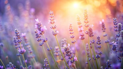 Naklejka premium Soft pale hues of lavender and peach blend harmoniously on a serene abstract background, evoking a sense of calming elegance and sophistication.,hd,8k