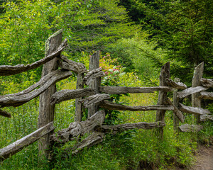 A weathered section of rustic log fence bordering a meadow of wildflowers along the Rhododendron Trail in Grayson Highlands State Park in Mouth of Wilson, Virginia.