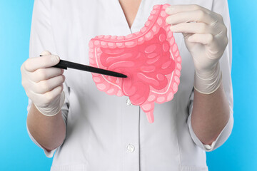 Doctor showing paper intestine cutout on light blue background, closeup