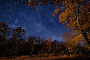 Fototapeta premium 2016 Orionids Meteor Shower