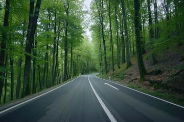 Obraz premium Camera POV driving through scenic forest road Looping video