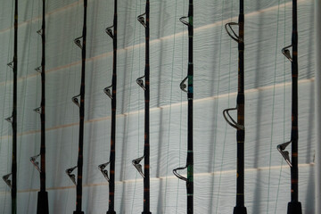 fishing rod