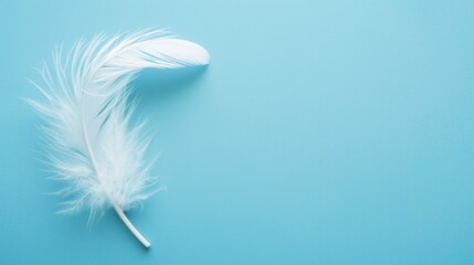 Concept of purity and simplicity symbolized by white feather on blue background