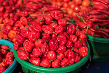 Pepper and tomato for sale at a market in Ogun State, Nigeria