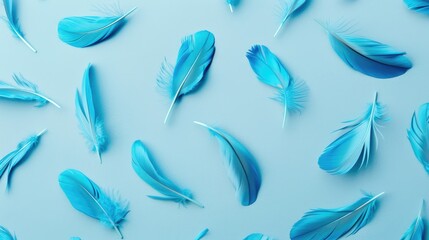 Fototapeta premium Blue feathers on light blue background with flat lay style
