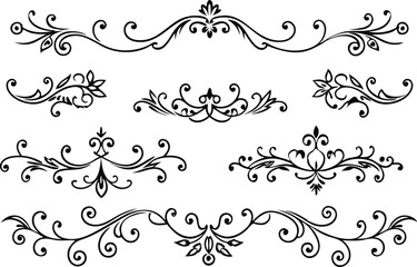 decoration design illustration border frame floral vector divider flourish ornament ornate vintage flower element swirl text wedding decorative