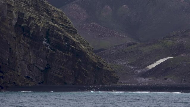 Antarctica Cruise Past Deception Island Thousands of Penguins Remote Beach Natural Environment