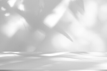 Wall interior background, studio and backdrops show products.with shadow from window color white and grey. background for text insertion and presentation product	
