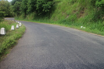Empty road through the green trees.