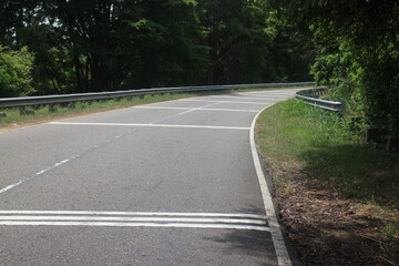 Empty road through the green trees.