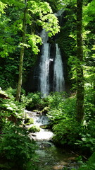 Naklejka premium A waterfall in the forest. Oirase Stream.