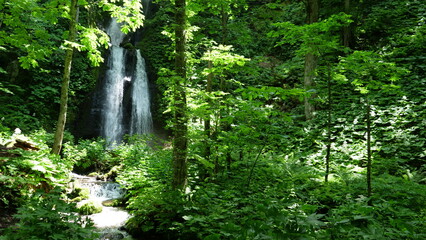 A waterfall in the forest. Oirase Stream.