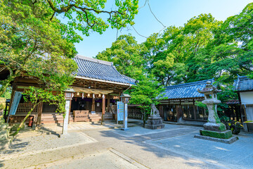 初夏の日吉神社　福岡県柳川市　Hiyoshi Shrine in early summer. Fukuoka Pref, Yanagawa City.