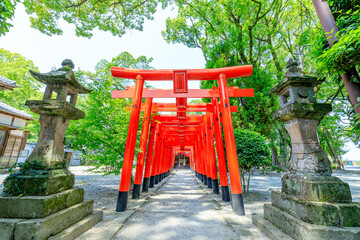 初夏の太郎稲荷大明神　三柱神社　福岡県柳川市　Taro Inari Daimyojin Shrine in early summer. Mihashira Shrine. Fukuoka Pref, Yanagawa City.