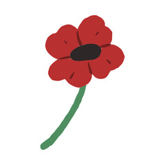 Palestine red poppy flower element