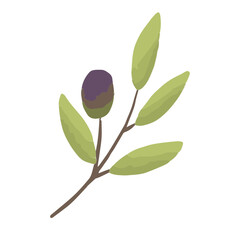 Palestine olive element