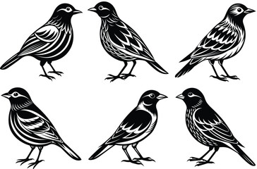 Bird silhouette vector art illustration.
