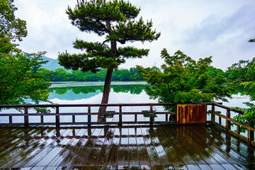 京都、大覚寺大沢の池