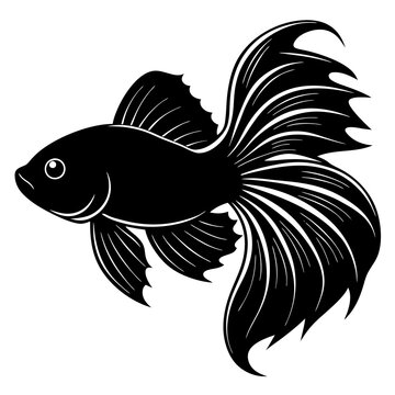 recommend clip art: betta bass Fish  vector silhouette illustration