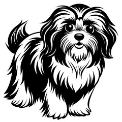 Shih Tzu vector silhouette illustration