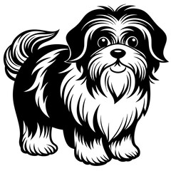 Shih Tzu vector silhouette illustration