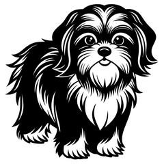 Shih Tzu vector silhouette illustration
