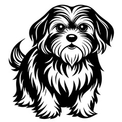 Shih Tzu vector silhouette illustration