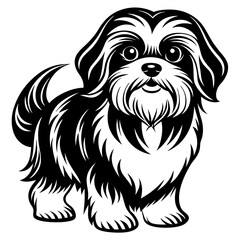Shih Tzu vector silhouette illustration