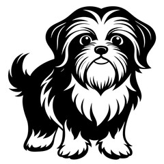 Shih Tzu vector silhouette illustration