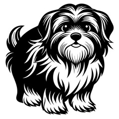 Shih Tzu vector silhouette illustration