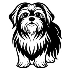 Shih Tzu vector silhouette illustration