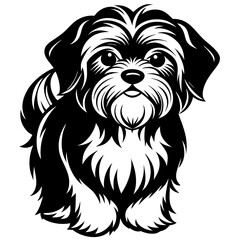 Shih Tzu vector silhouette illustration
