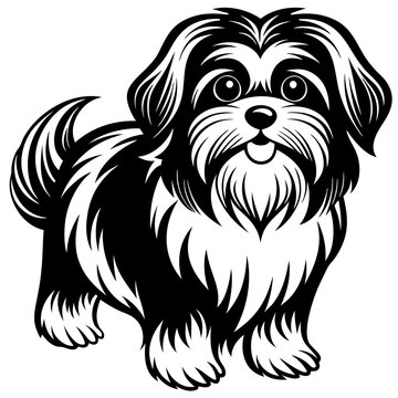 "Small Dog Breed" Images – Browse 918 Stock Photos, Vectors, and Video