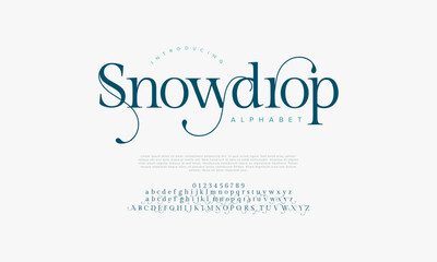 Snowdrop premium luxury elegant alphabet letters and numbers. Vintage wedding typography classic serif font decorative vintage retro. creative vector illustration