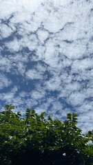 Cloudy blue sky abstract background, blue sky background with tiny clouds. 