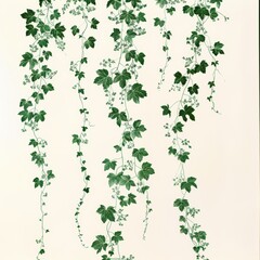 Green ivy vines cascade down a white background, creating a natural, organic pattern.