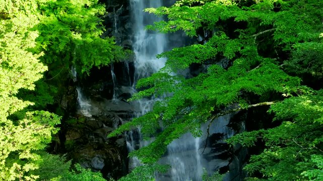 朝日を浴びて輝く美しい滝