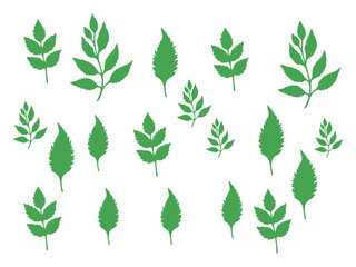 Green leaf icon set. leaf icon on isolated background.	